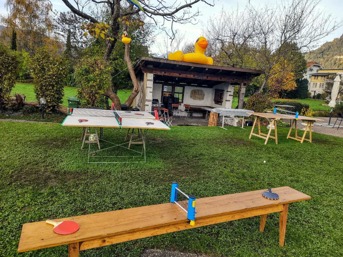 Quartet Ping Pong Counters : Quad Table Tennis Game